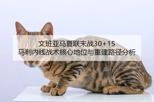 wen-ban-ya-ma-xia-lian-mo-zhan-ma-ci-nei-xian-zhan-shu-he-xin-di-wei-yu-chong-jian-lu-jing-fen-xi-3-952.jpg